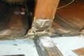 Extensive Miracle repairs in progress Extensive Miracle repairs in progress
